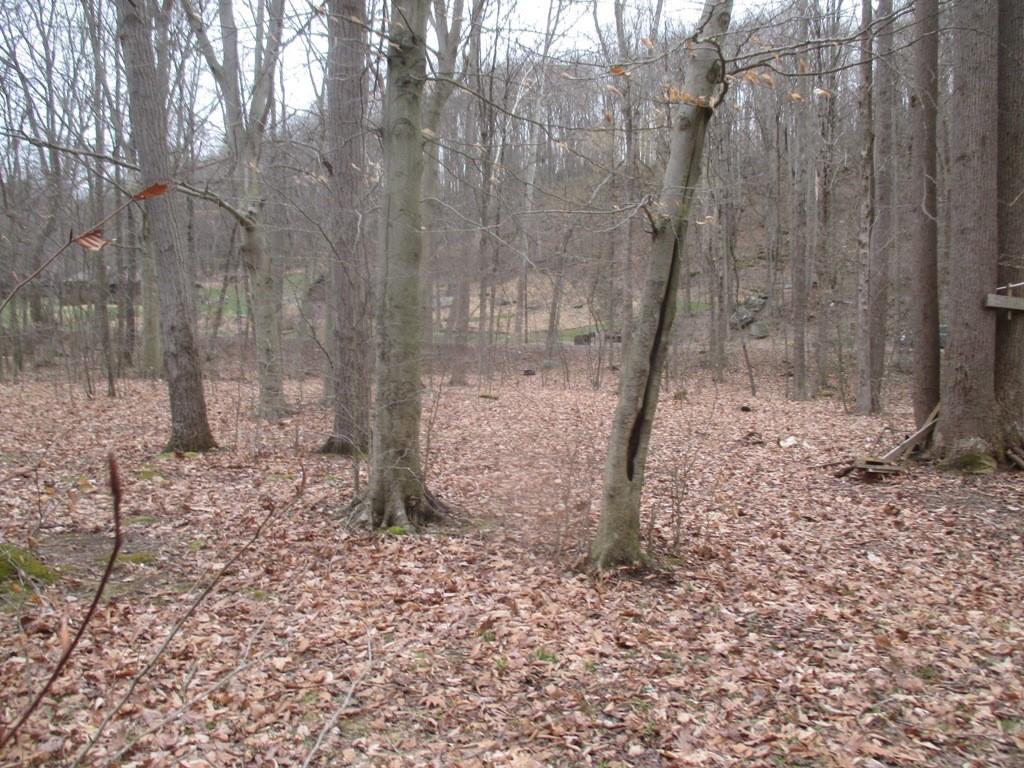 0 Four Mile Run Road Ligonier, PA 15658 - Photo 8 of 11 Gallery Image 8