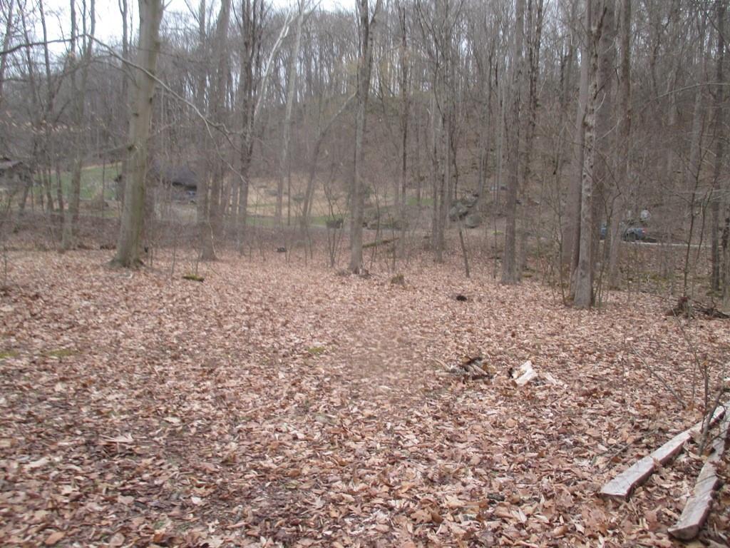 0 Four Mile Run Road Ligonier, PA 15658 - Photo 9 of 11 Gallery Image 9