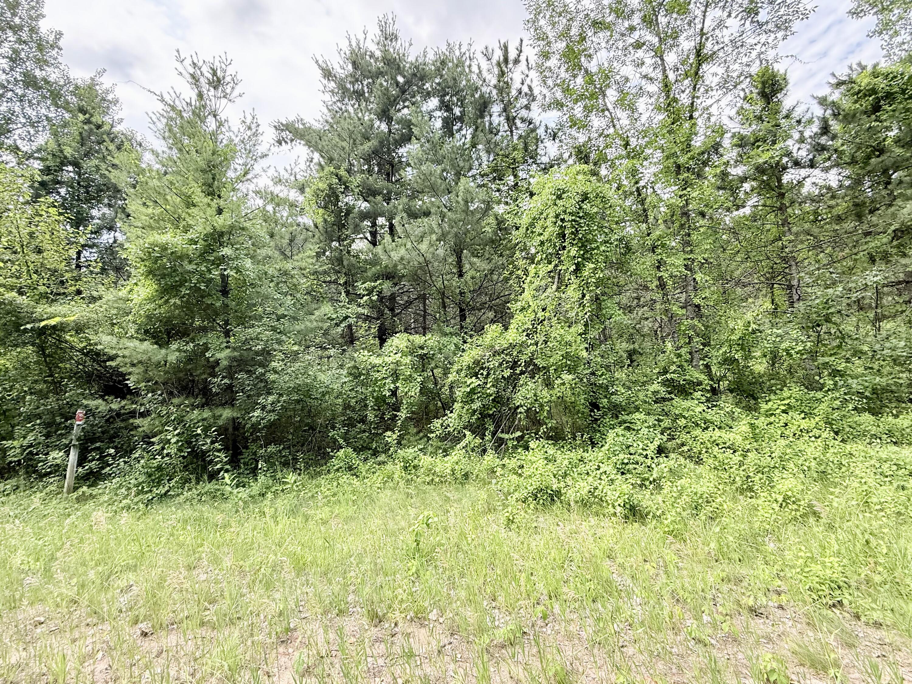 0 Chasm Road Keeseville, NY 12944 - Photo 4 of 4
