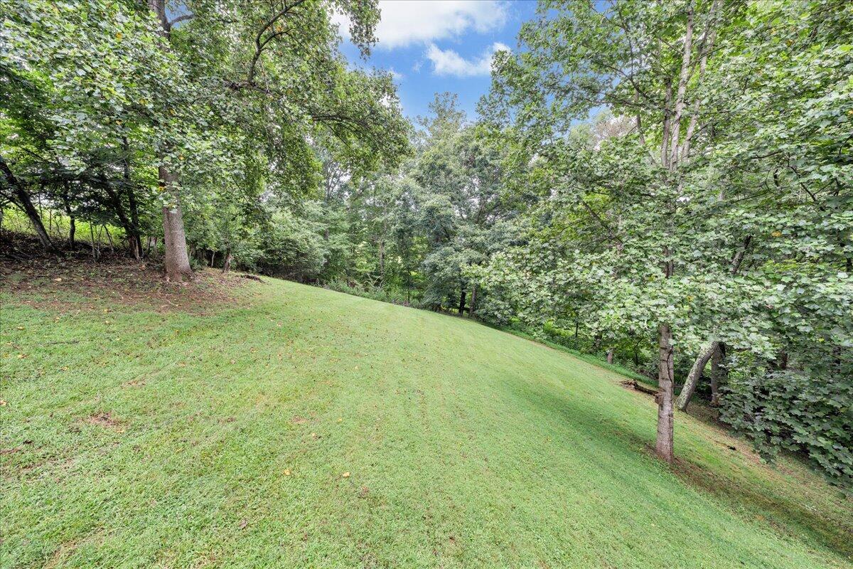3608 Jae Valley Road Roanoke, VA 24014 - Photo 39 of 51 a view of a yard with a tree