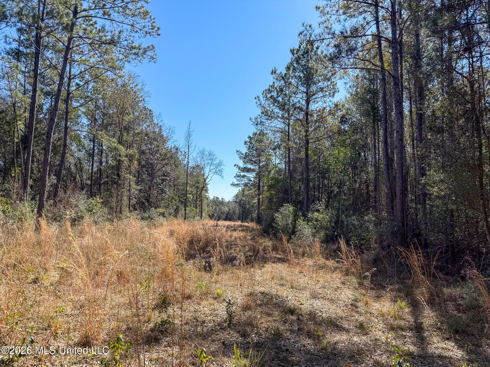 Cable Bridge Rd Pass Pass Christian, MS 39571 - Photo 20 of 40 IMG_2322