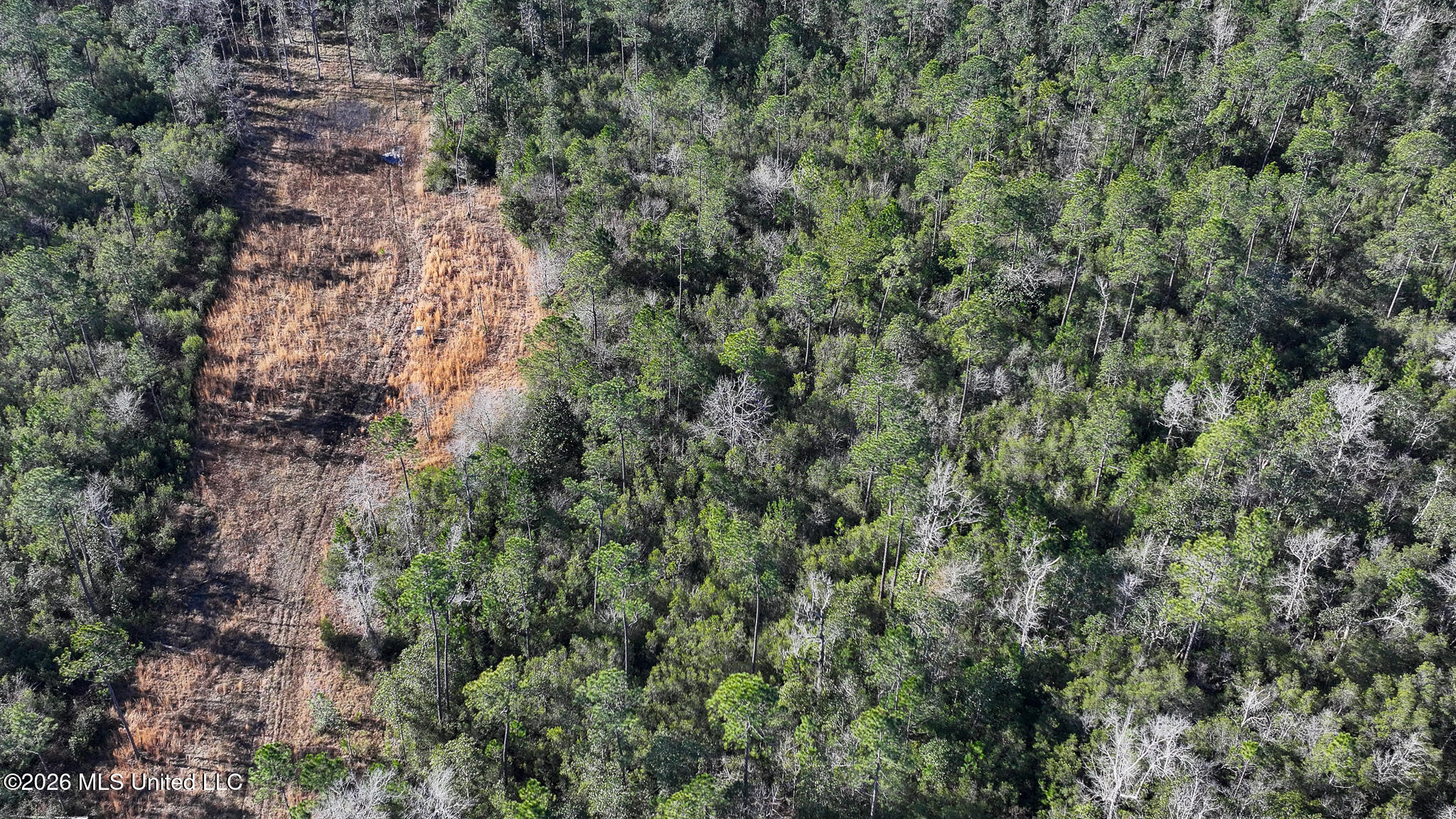 Cable Bridge Rd Pass Pass Christian, MS 39571 - Photo 2 of 40 DJI_20260201094049_0115_D