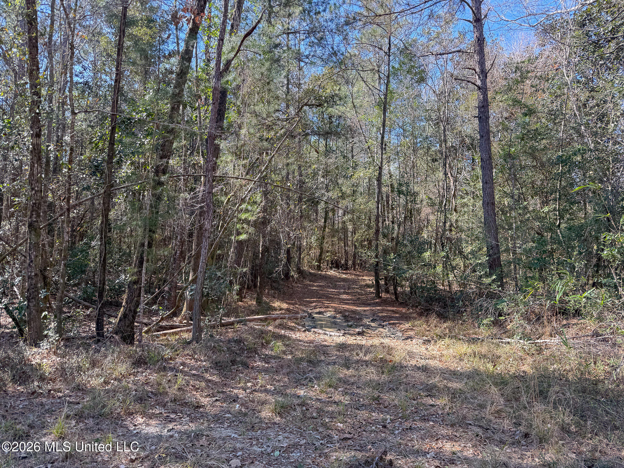 Cable Bridge Rd Pass Pass Christian, MS 39571 - Photo 21 of 40 IMG_2324