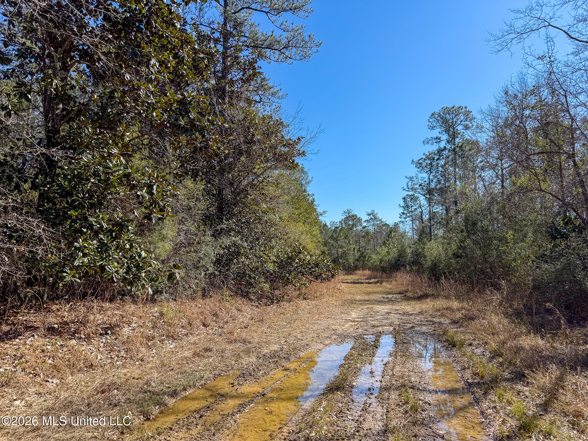 Cable Bridge Rd Pass Pass Christian, MS 39571 - Photo 22 of 40 IMG_2329
