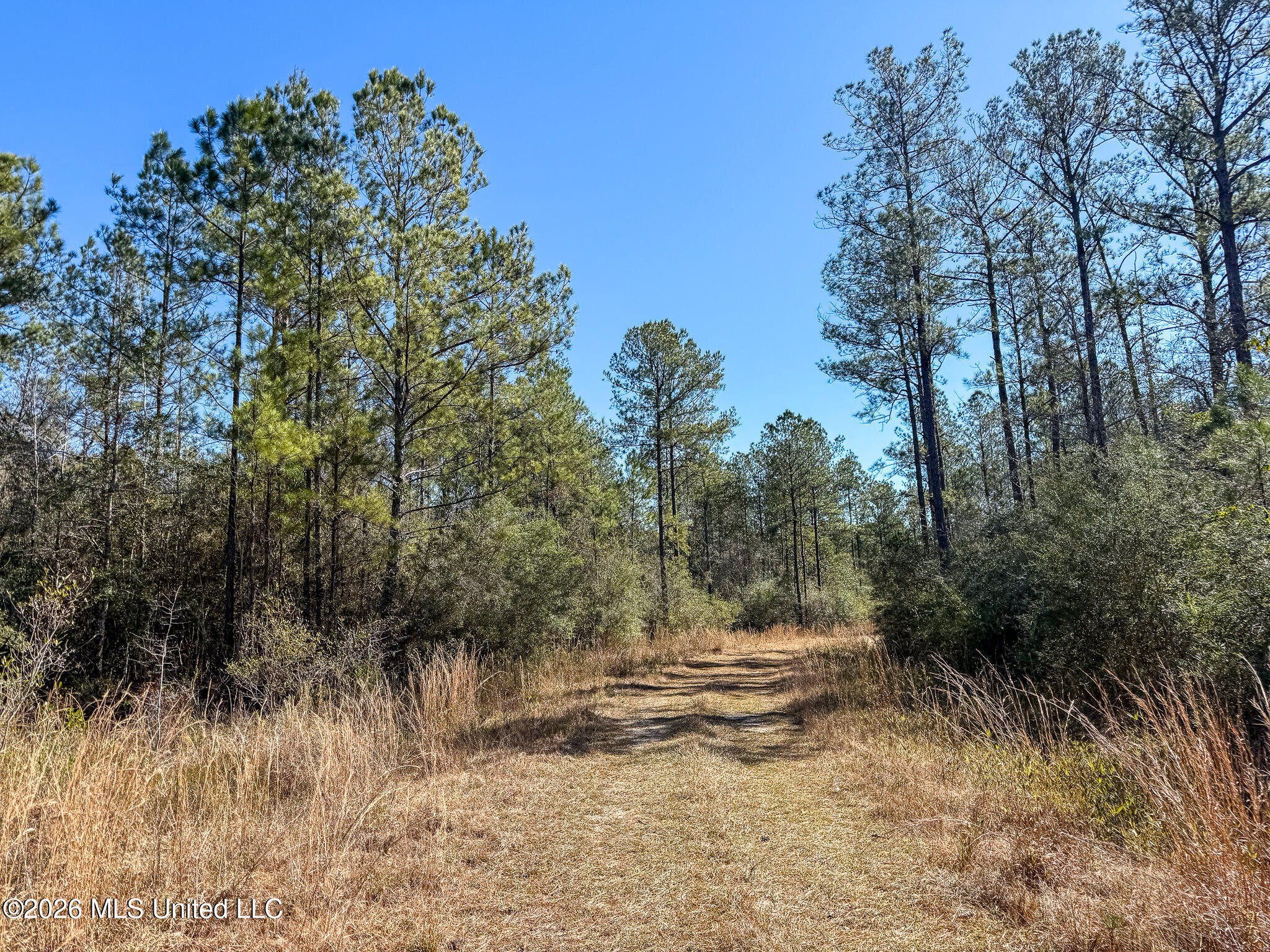Cable Bridge Rd Pass Pass Christian, MS 39571 - Photo 23 of 40 IMG_2332