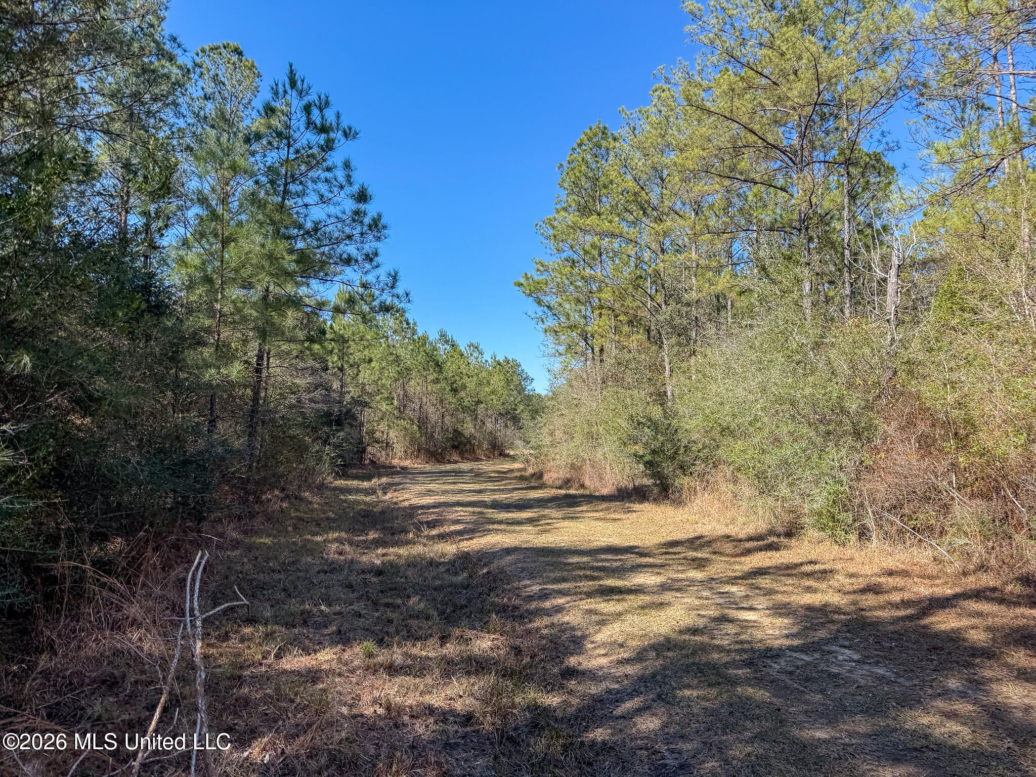 Cable Bridge Rd Pass Pass Christian, MS 39571 - Photo 25 of 40 IMG_2339