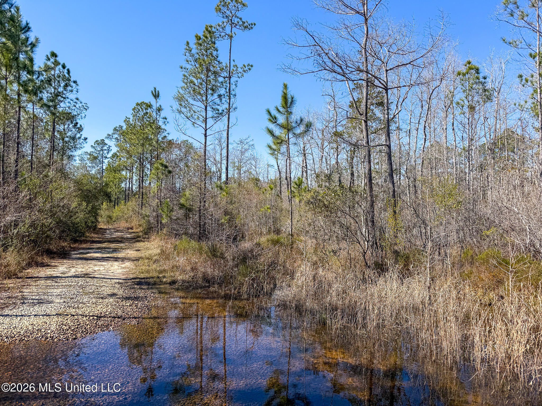 Cable Bridge Rd Pass Pass Christian, MS 39571 - Photo 27 of 40 IMG_2343
