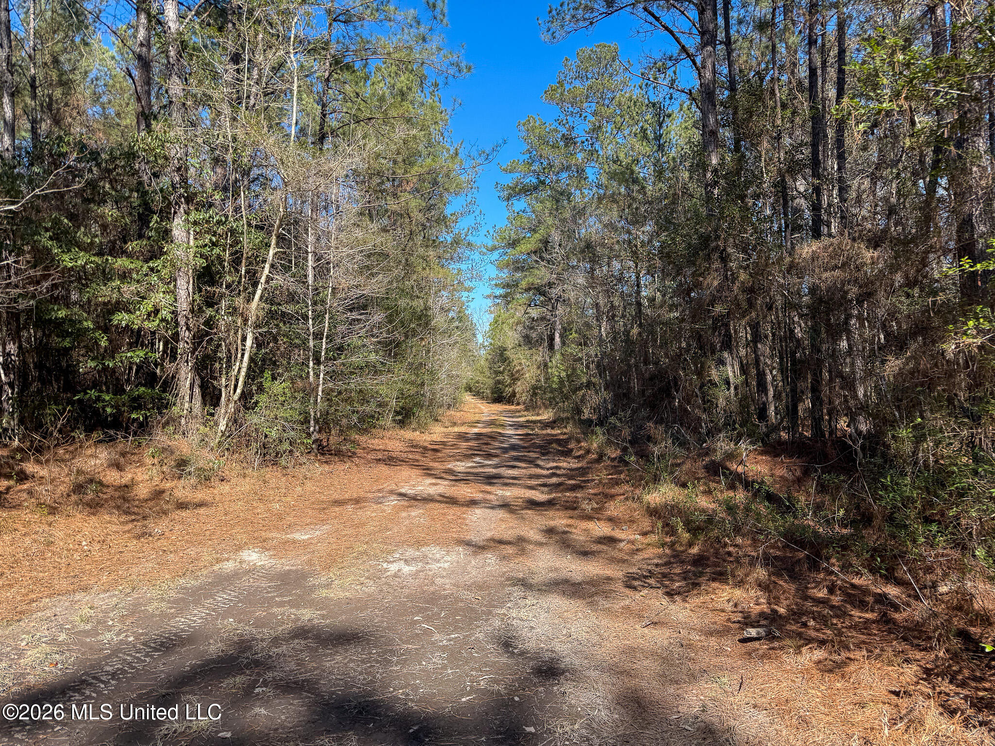 Cable Bridge Rd Pass Pass Christian, MS 39571 - Photo 29 of 40 IMG_2347