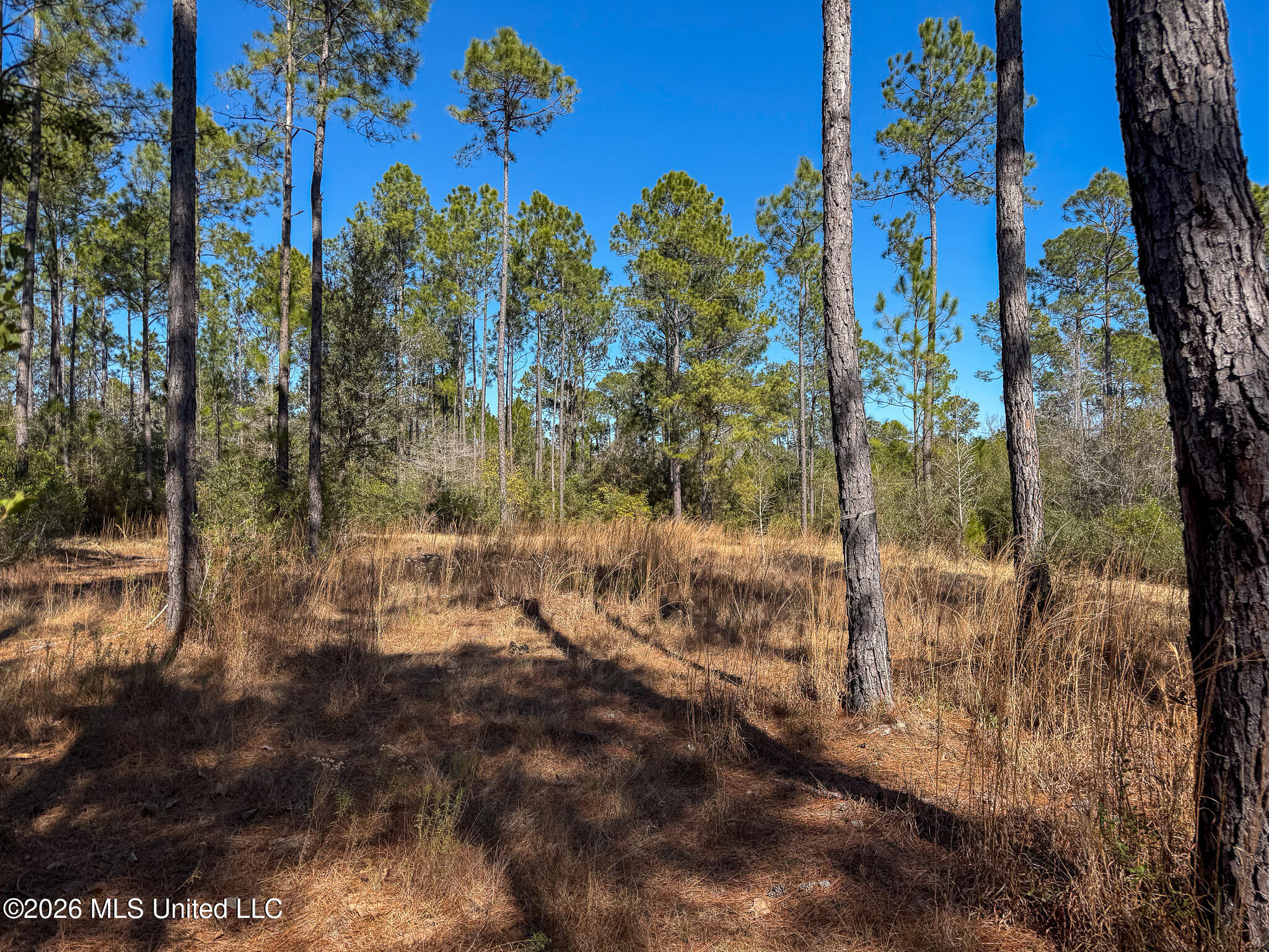 Cable Bridge Rd Pass Pass Christian, MS 39571 - Photo 33 of 40 IMG_2360