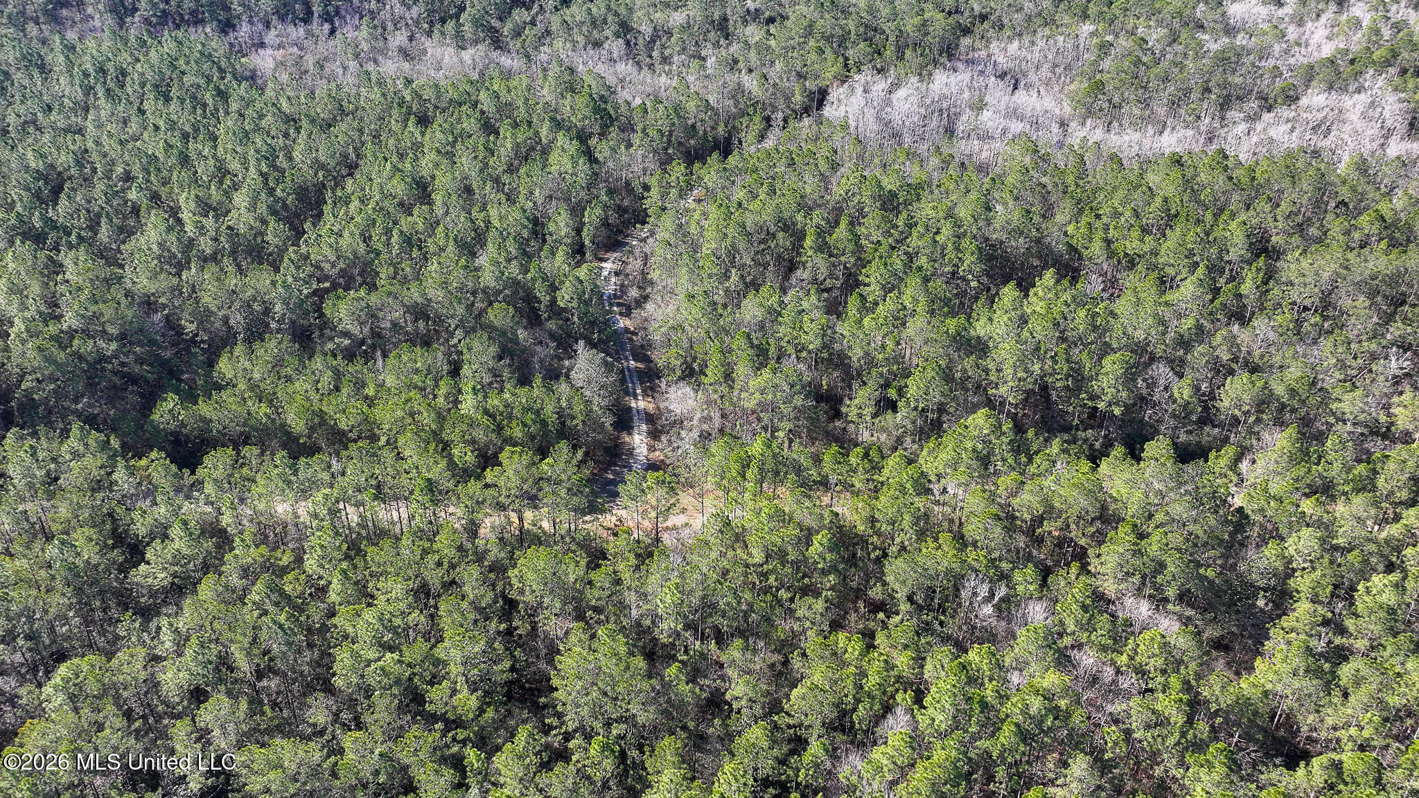 Cable Bridge Rd Pass Pass Christian, MS 39571 - Photo 4 of 40 DJI_20260201095309_0135_D