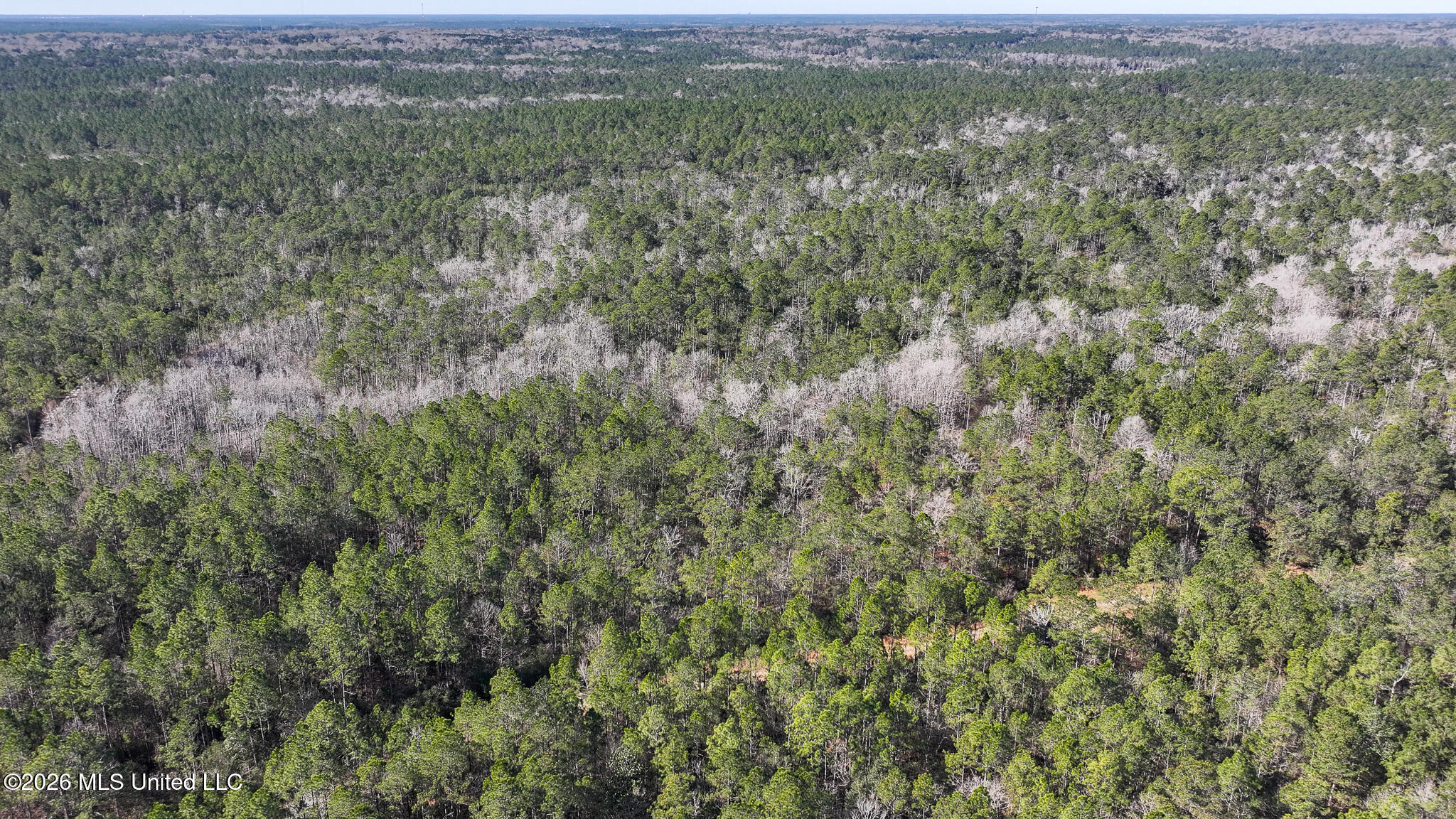 Cable Bridge Rd Pass Pass Christian, MS 39571 - Photo 5 of 40 DJI_20260201095325_0138_D