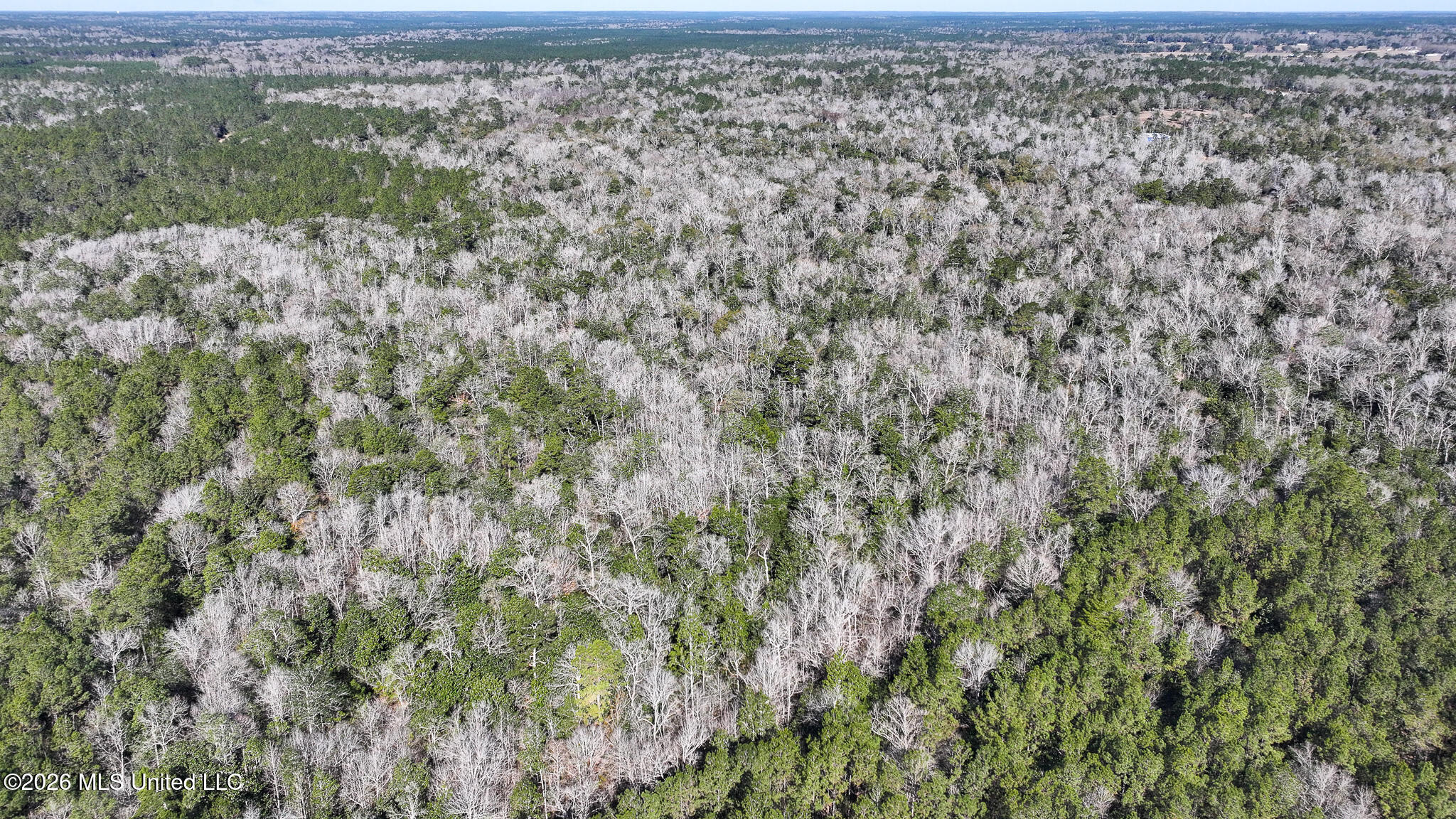 Cable Bridge Rd Pass Pass Christian, MS 39571 - Photo 6 of 40 DJI_20260201095350_0139_D