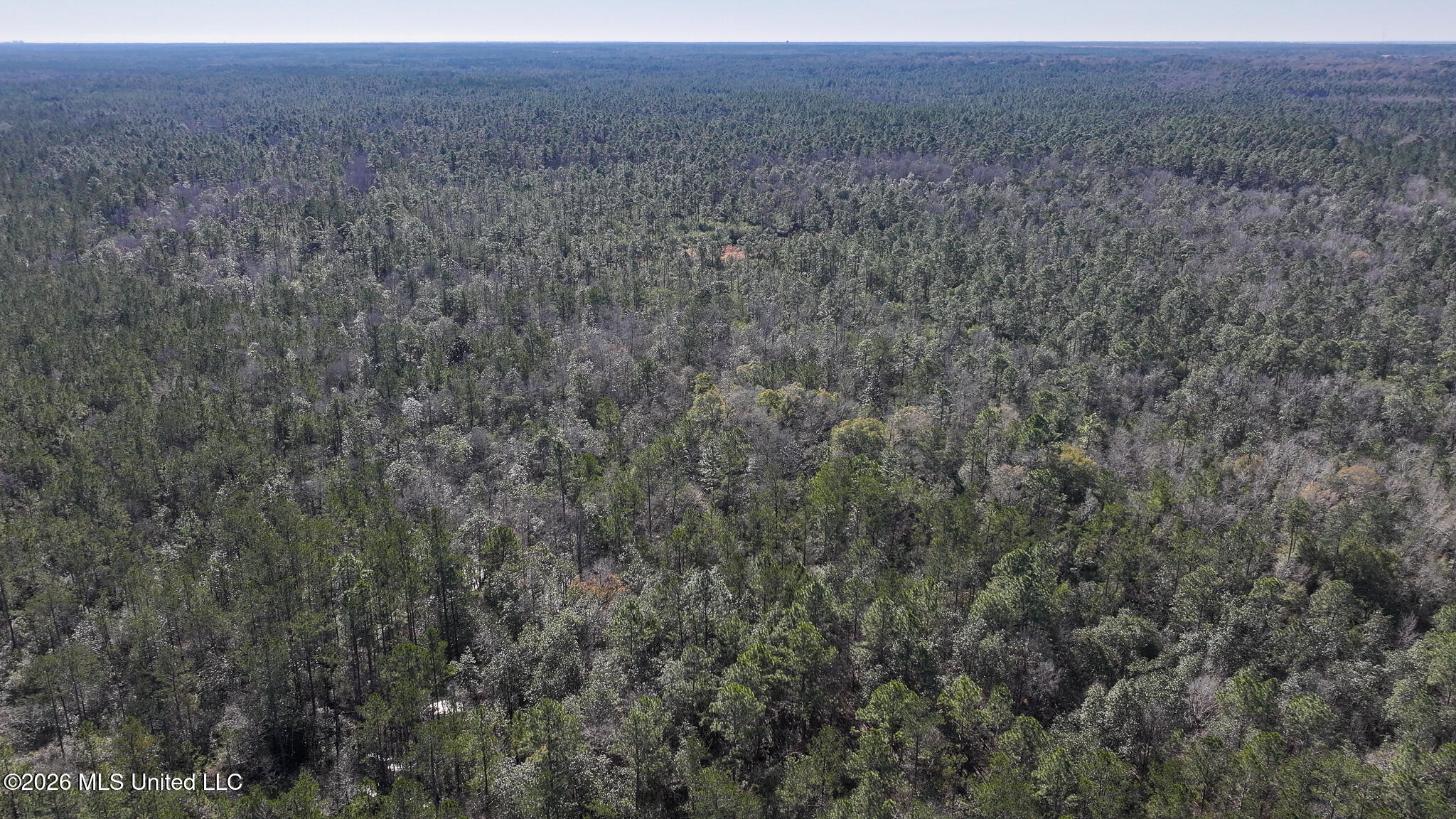 Cable Bridge Rd Pass Pass Christian, MS 39571 - Photo 9 of 40 DJI_20260201095912_0153_D