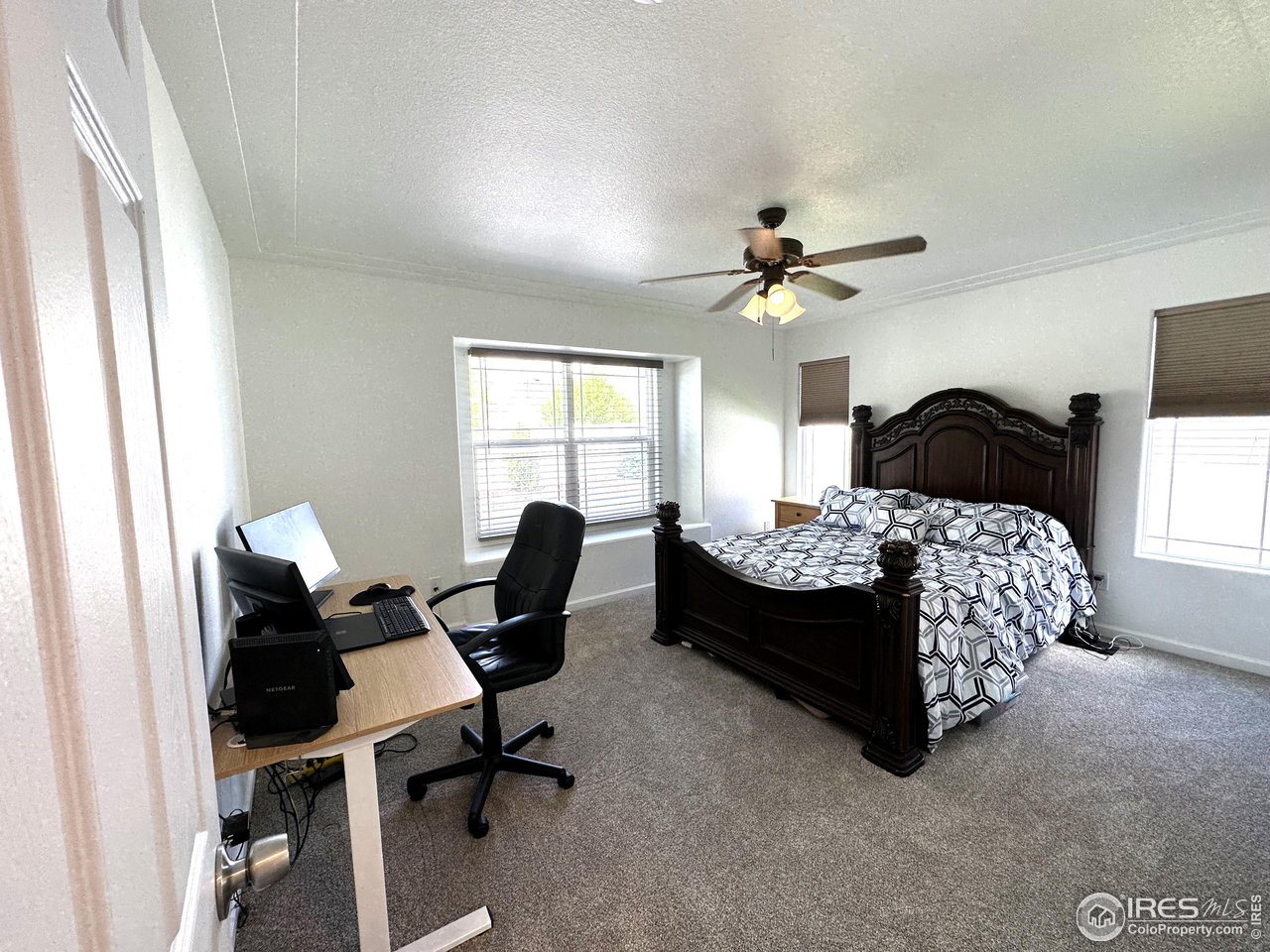 7001 McClellan Road Wellington, CO 80549 - Photo 12 of 20 Plenty of natural light