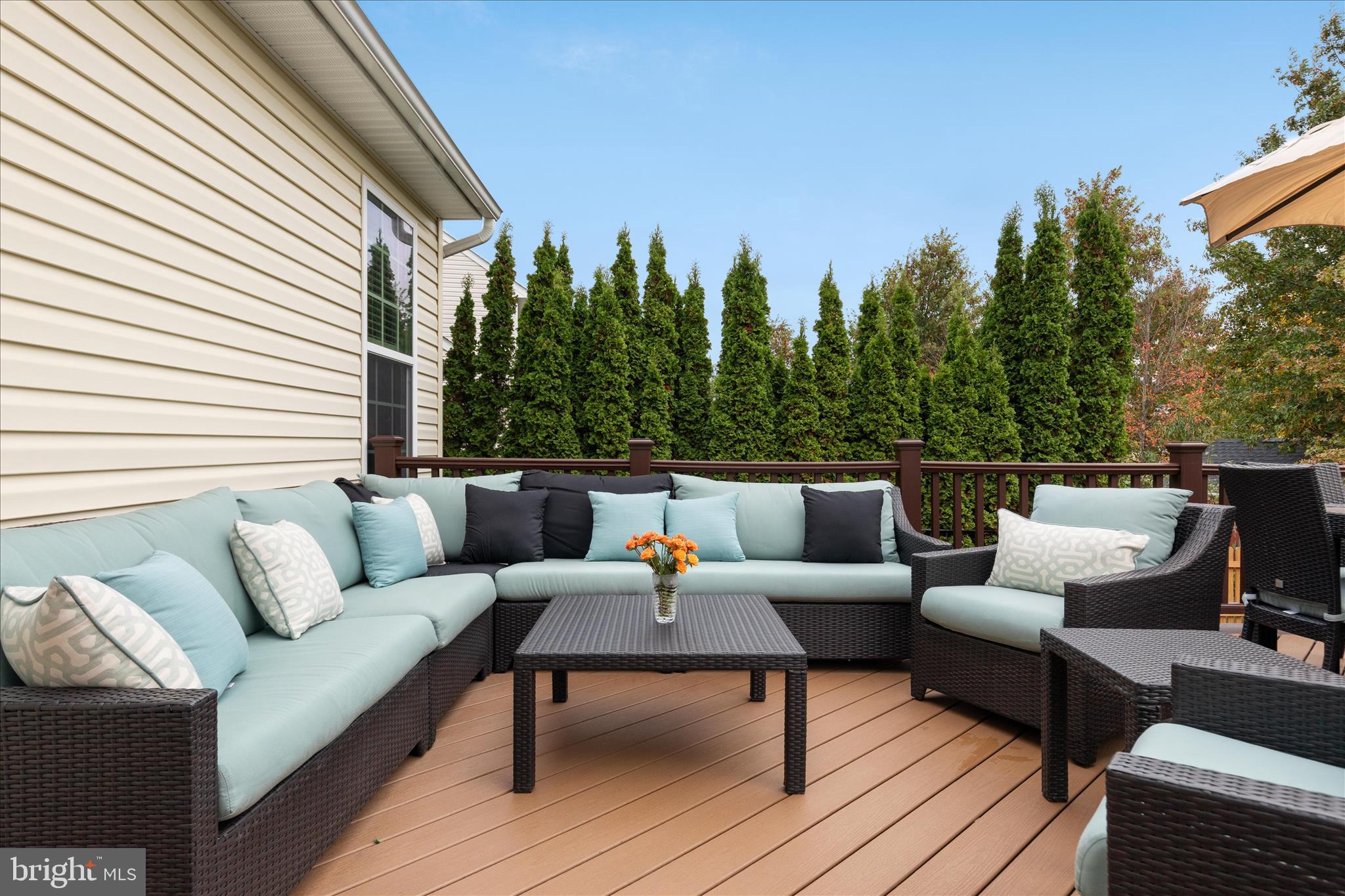 41591 Bostonian Place Aldie, VA 20105 - Photo 43 of 55 Private Deck