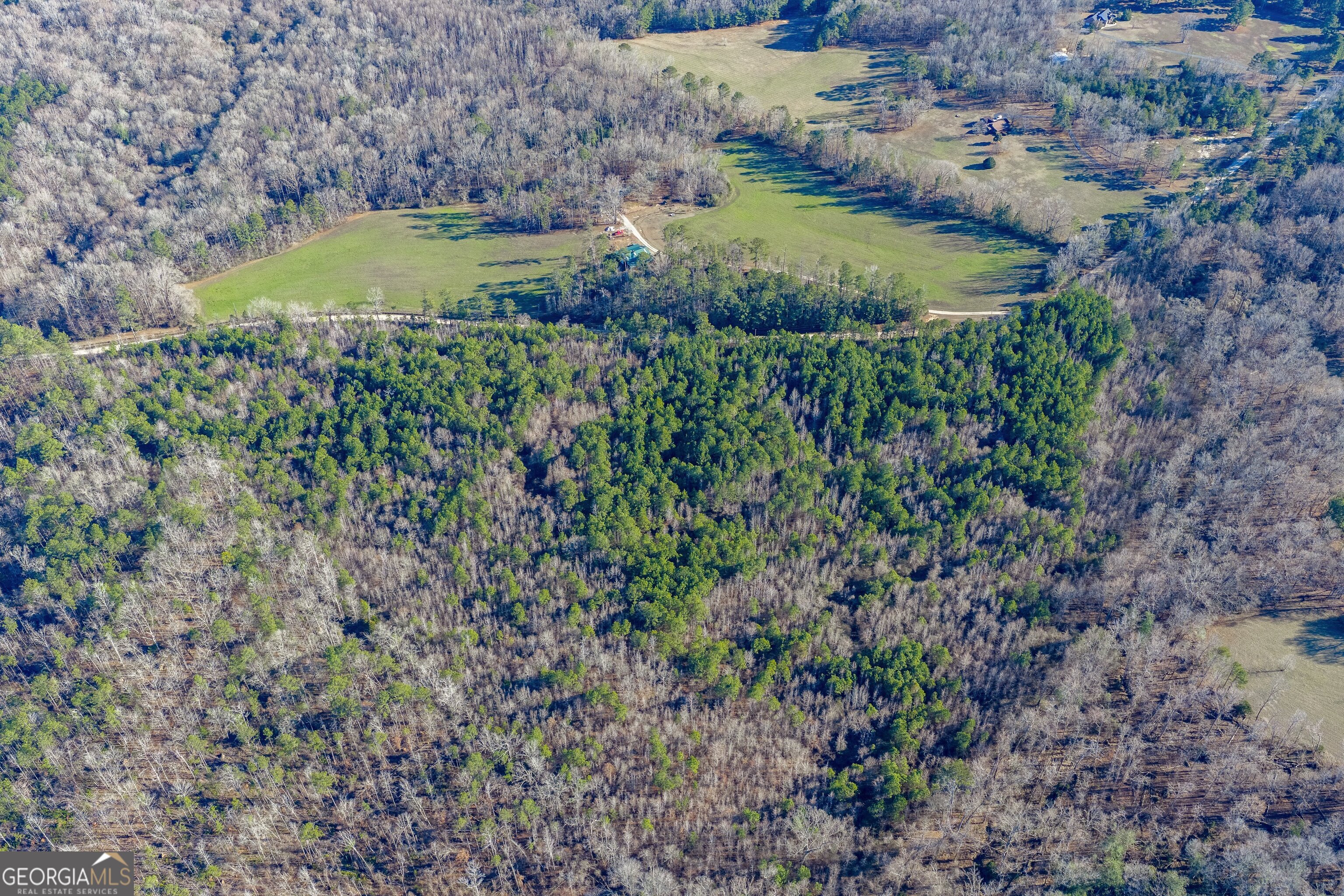 Tract 5 Dunbar School Road Williamson, GA 30292 - Photo 13 of 17