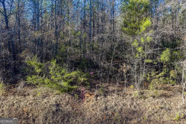 $109,000 | Tract 5 Dunbar School Road, Williamson, GA 30292