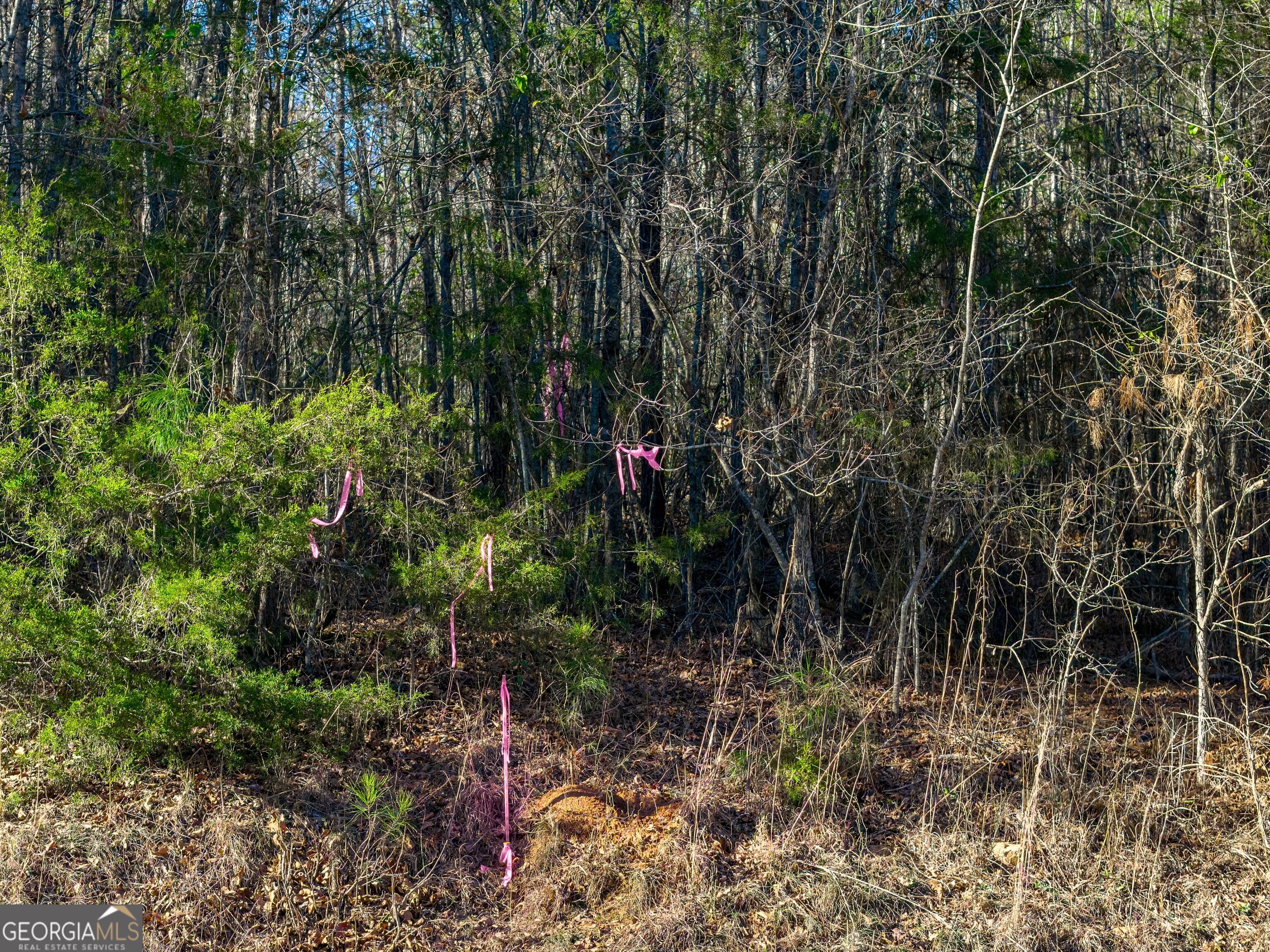 Tract 5 Dunbar School Road Williamson, GA 30292 - Photo 8 of 17
