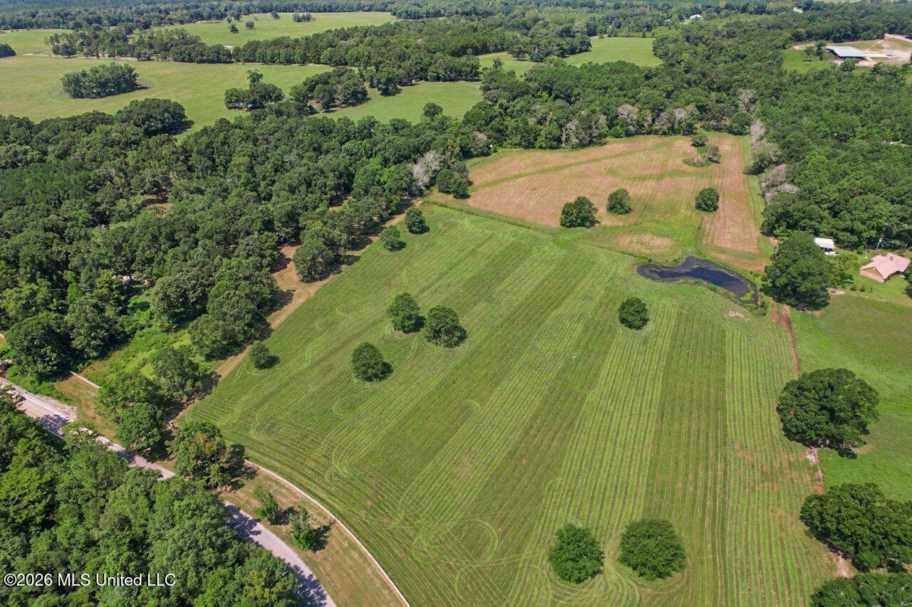 1163 John Amacker Road Poplarville, MS 39470 - Photo 9 of 44 10