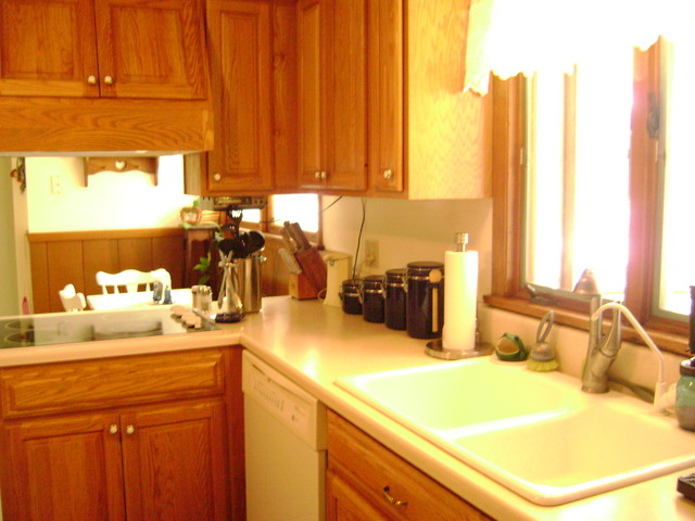 2N238 Francis Road Maple Park, IL 60151 - Photo 20 of 20