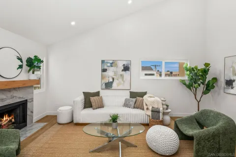 a living room with furniture potted plant and a fireplace
