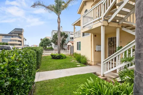 a view of a big yard with large tree and plants