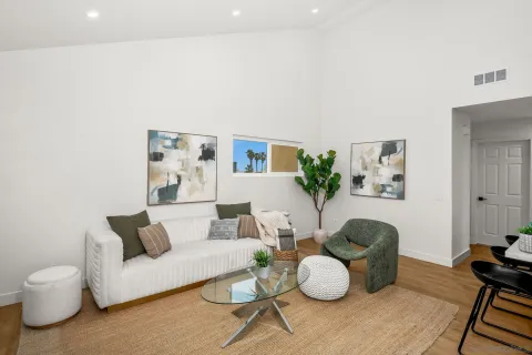 a living room with furniture and a potted plant