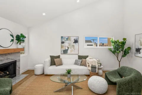 a living room with furniture potted plant and a fireplace