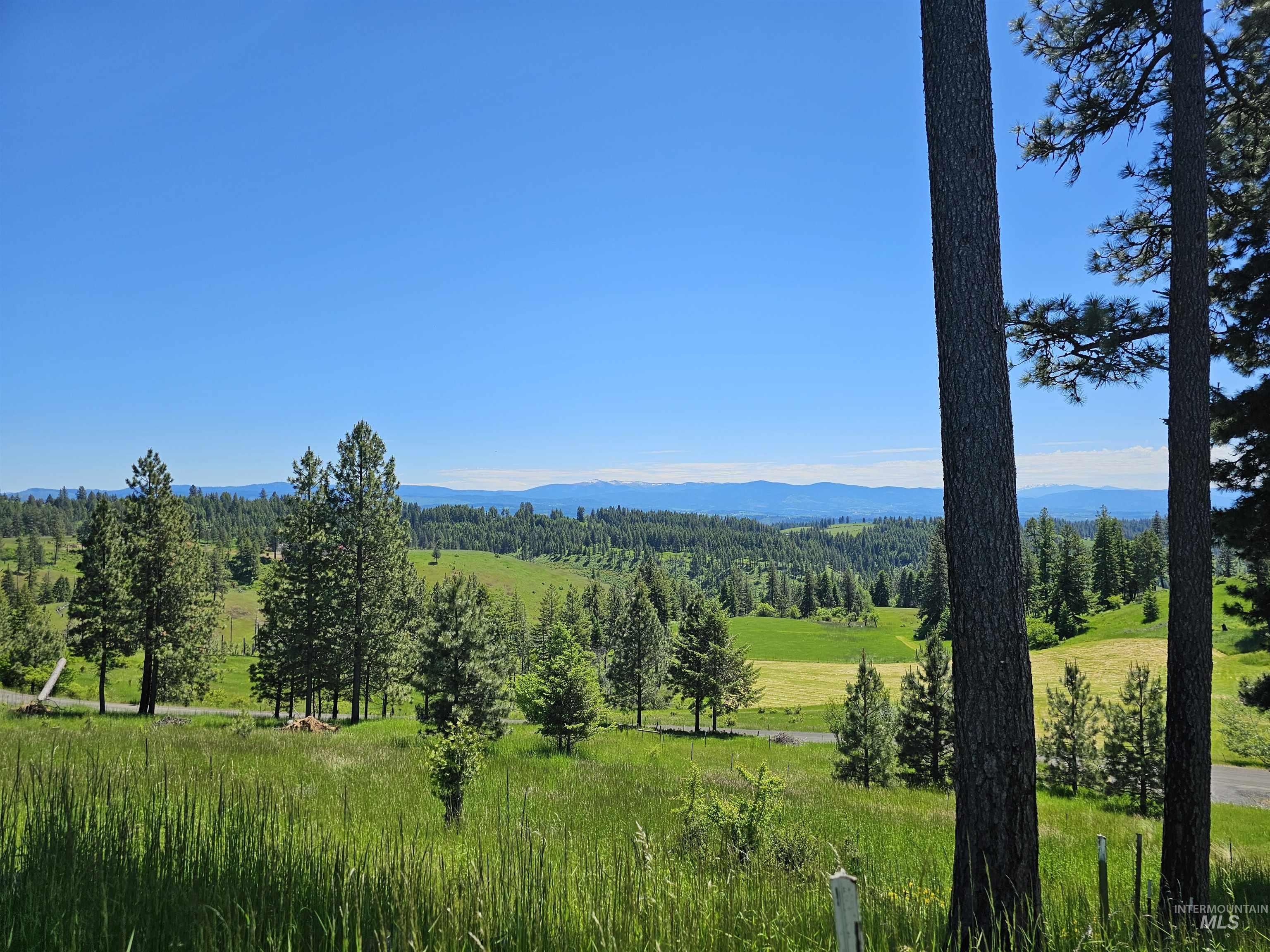 1151 Beaverslide Road Kamiah, ID 83536 - Photo 2 of 50