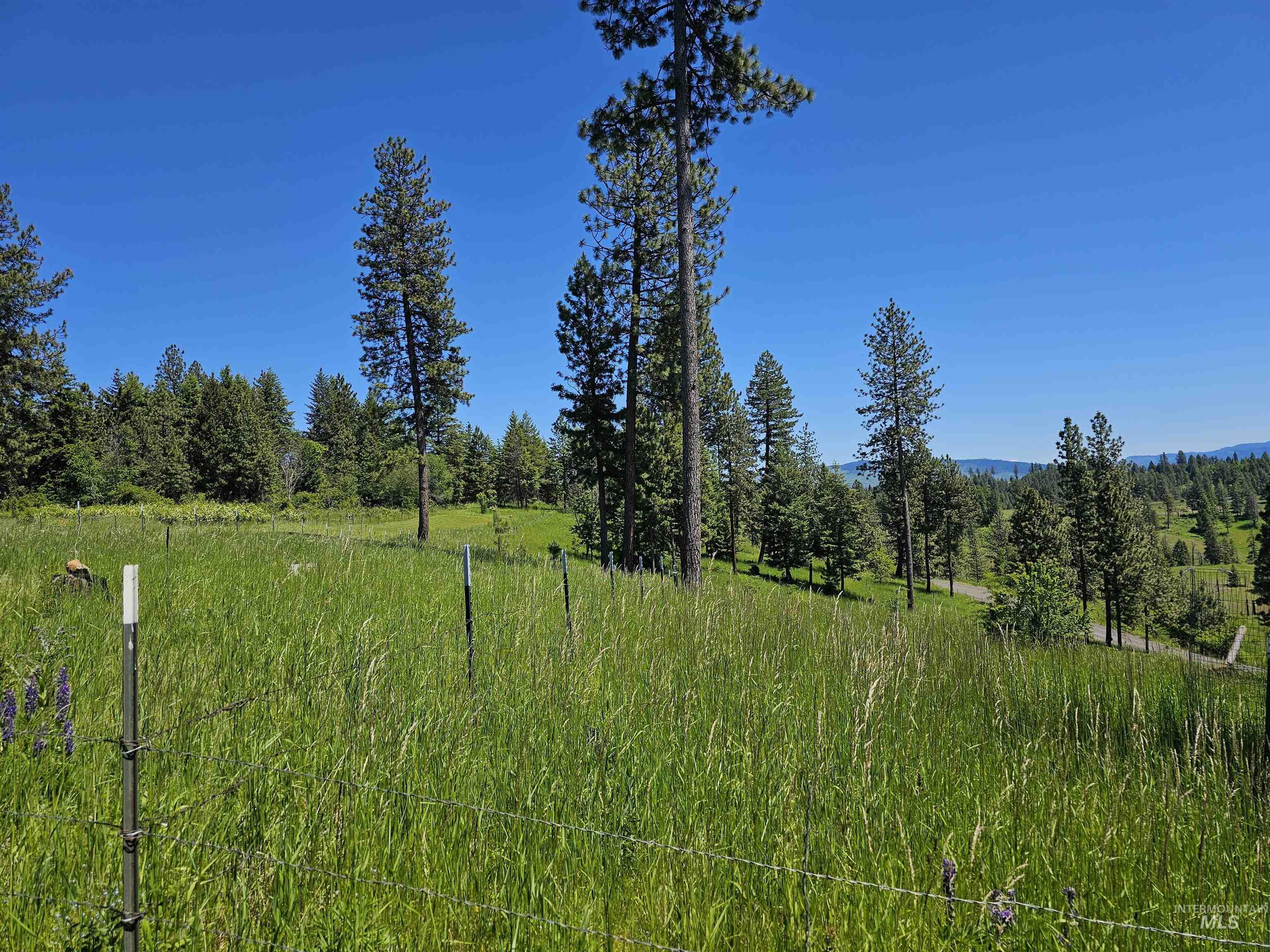 1151 Beaverslide Road Kamiah, ID 83536 - Photo 37 of 50