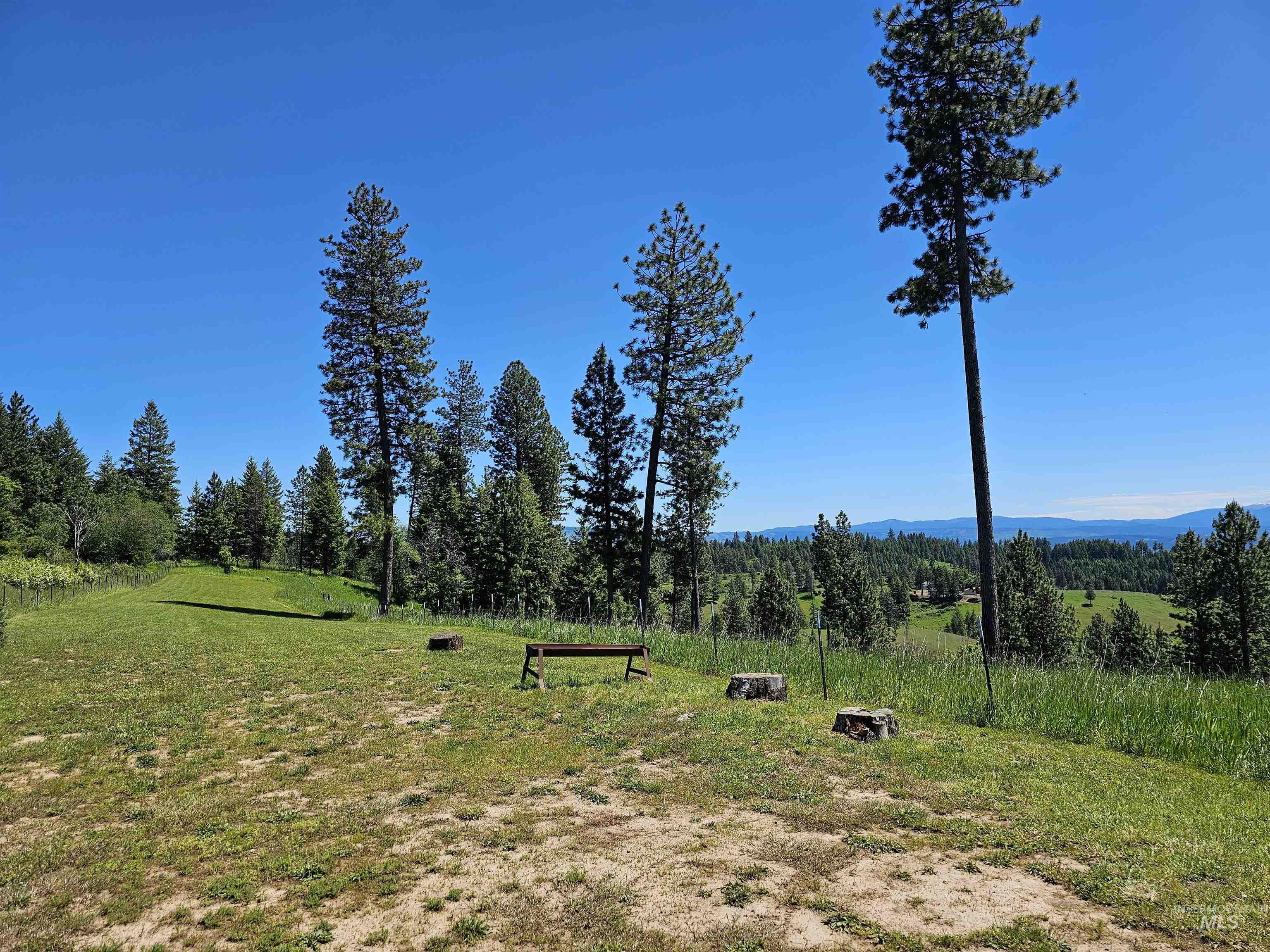 1151 Beaverslide Road Kamiah, ID 83536 - Photo 41 of 50