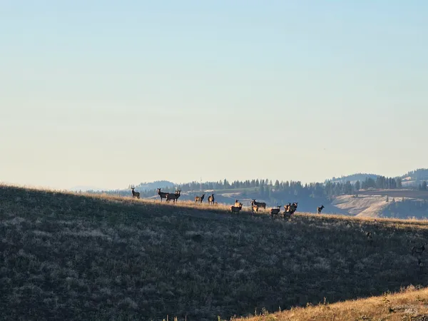 $1,199,000 | 1151 Beaverslide Road, Kamiah, ID 83536