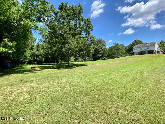 8460 Bethel Road Olive Branch, MS 38654 - Photo 39 of 45 IMG_9315