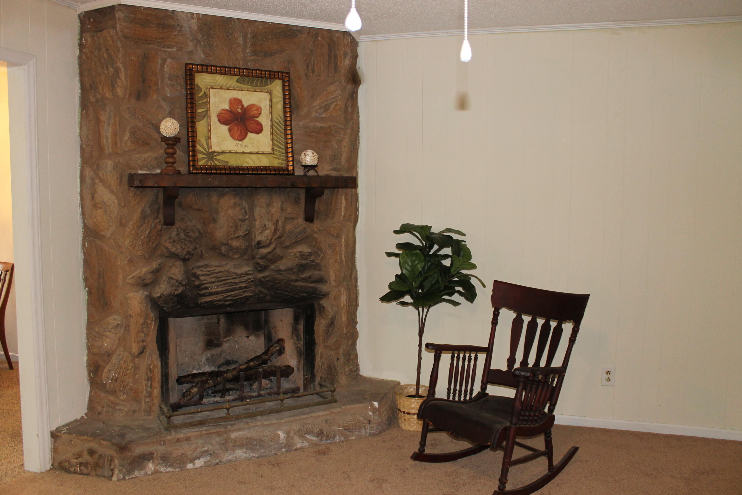 949 Thomas Street Rockingham, NC 28379 - Photo 5 of 27 IMG_2526