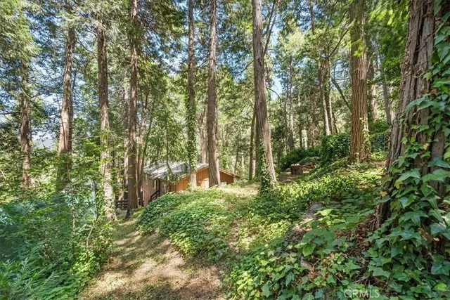 a view of outdoor space and trees all around