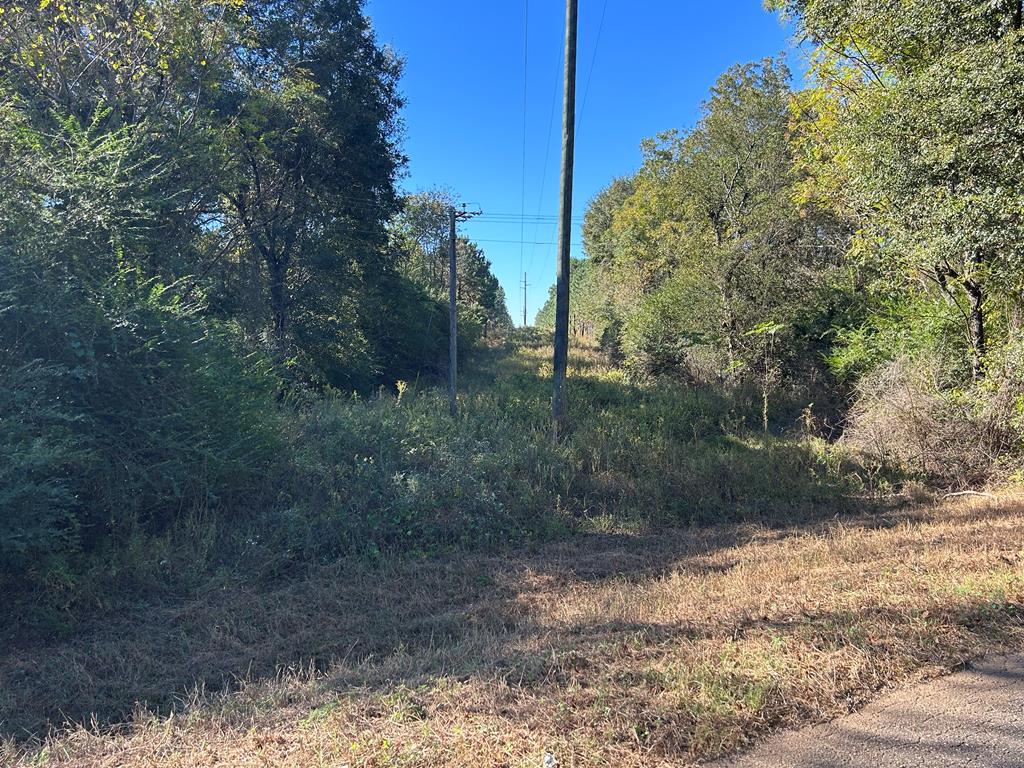 140/ Cty Road Headland, AL 36345 - Photo 28 of 33