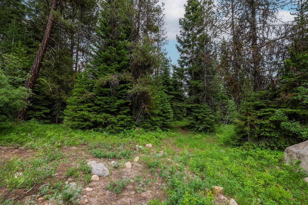 431 Timbercrest Loop, Unit 4 McCall, ID 83638 - Photo 8 of 28