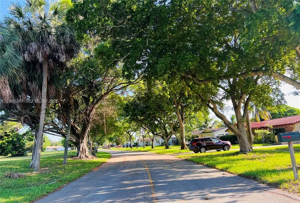 a view of a park with large trees