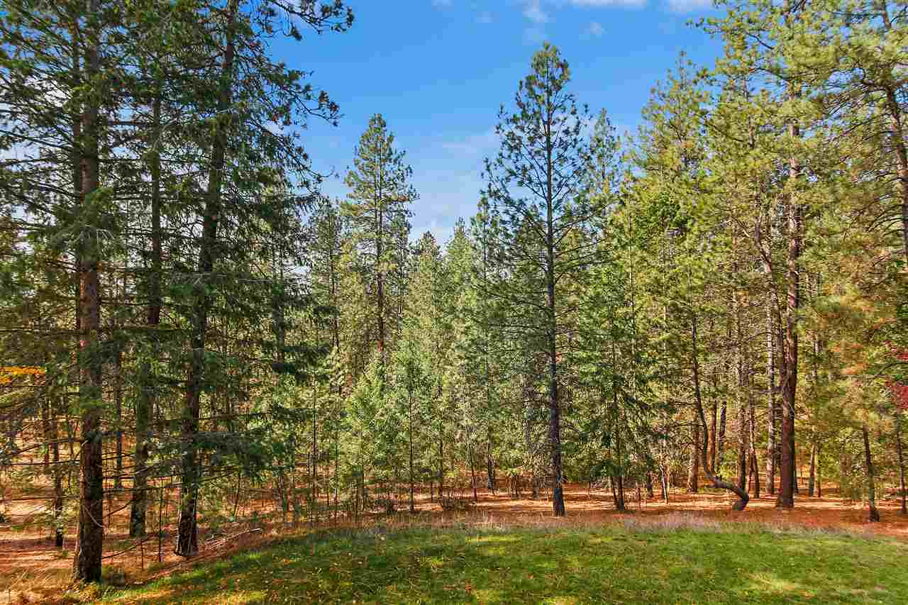 2725 East Golden Road Spokane, WA 99208 - Photo 30 of 30