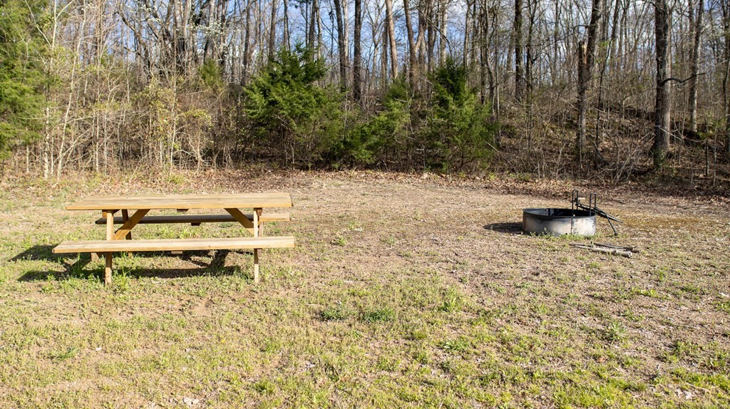 0 Harold Patterson Road Dandridge, TN 37725 - Photo 17 of 19