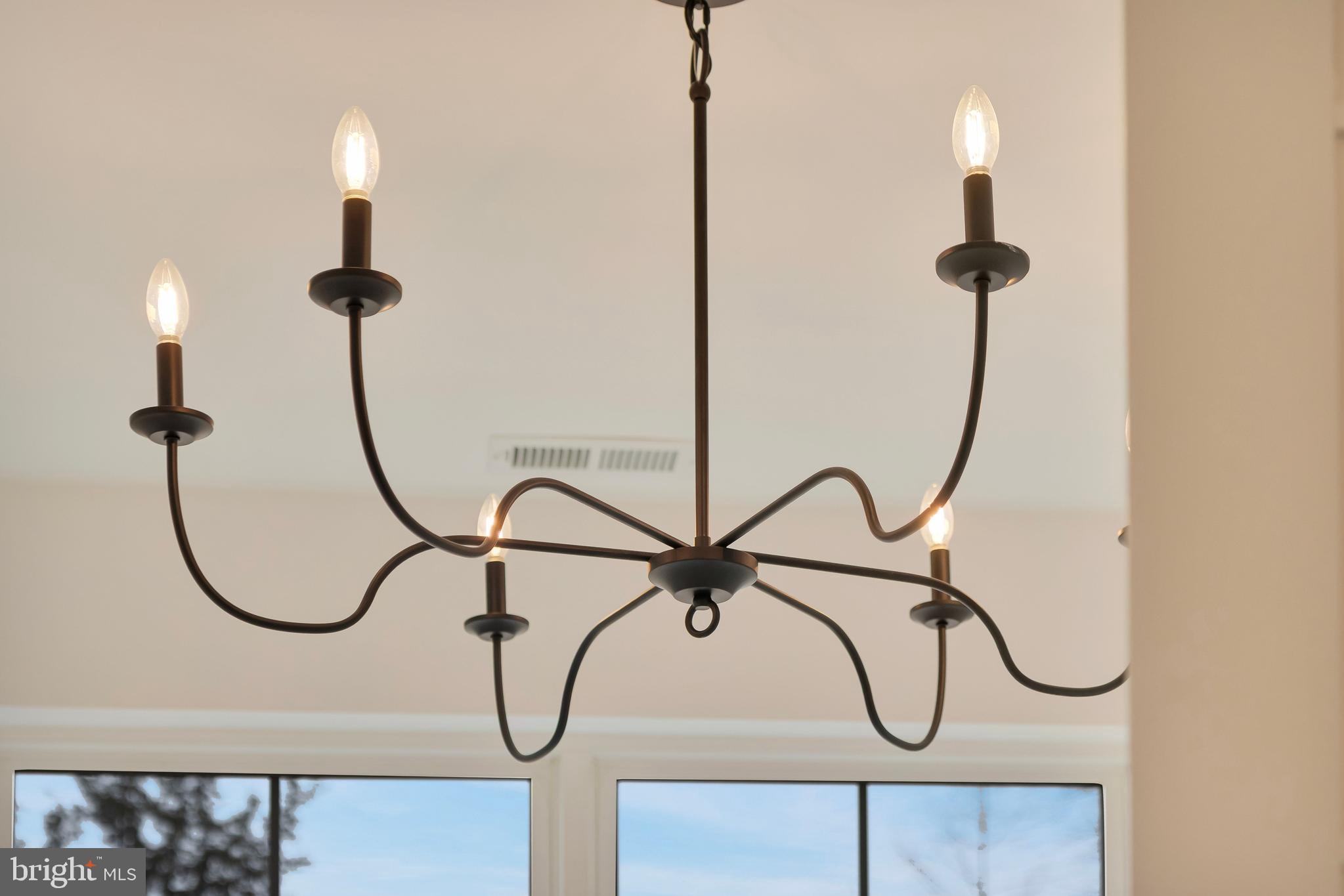 223 Chad Place Ocean View, DE 19970 - Photo 49 of 58 Beautiful finishes throughout