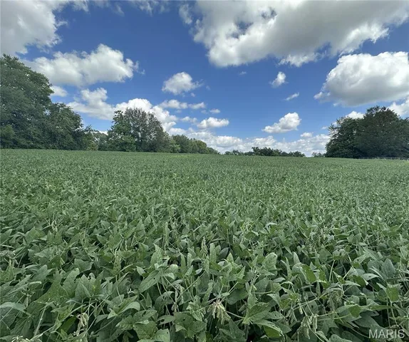 $1,285,605 | 0 South 3rd Street, Troy, MO 63379