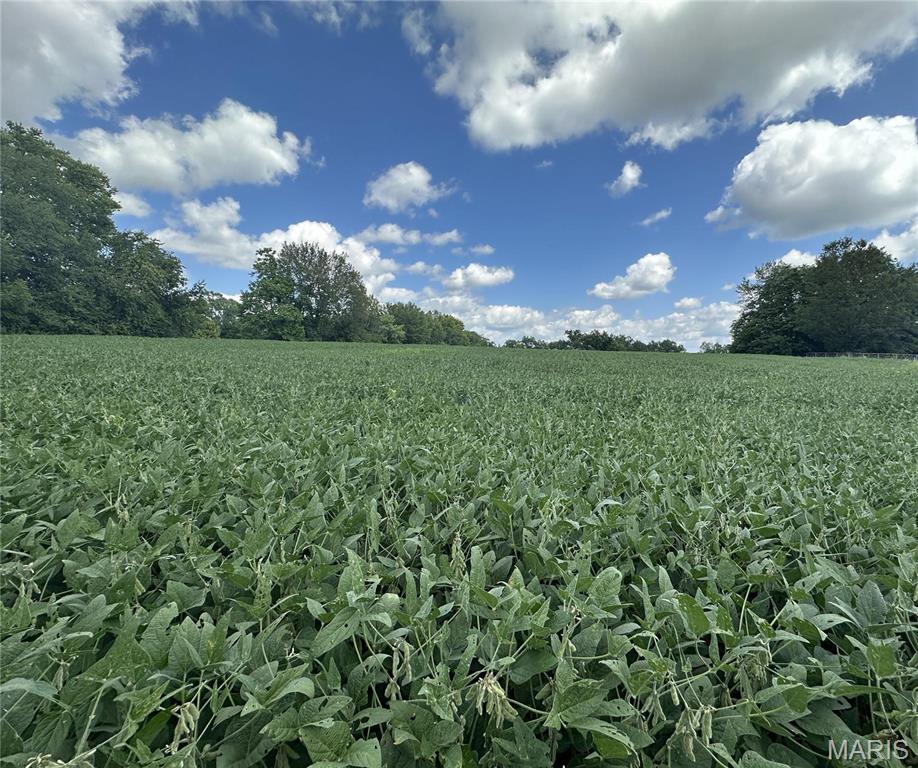 0 South 3rd Street Troy, MO 63379 - Photo 5 of 7