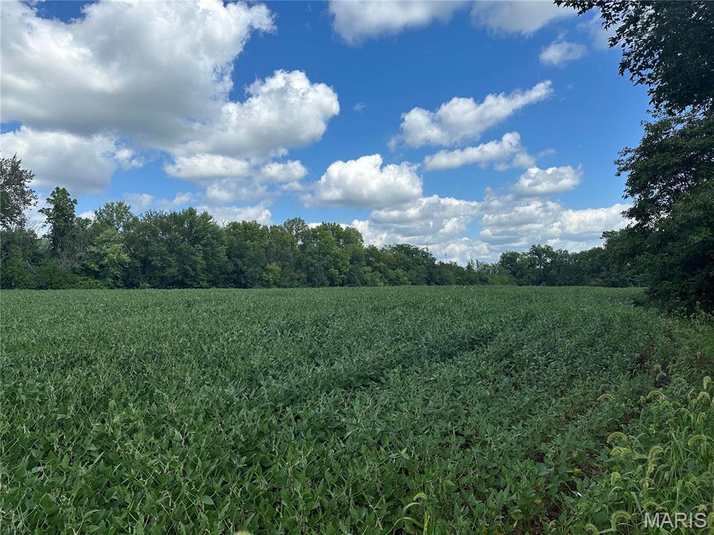 0 South 3rd Street Troy, MO 63379 - Photo 7 of 7