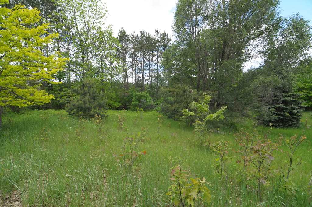 11493 East 20 Road Manton, MI 49663 - Photo 55 of 57 1817730-54.JPG