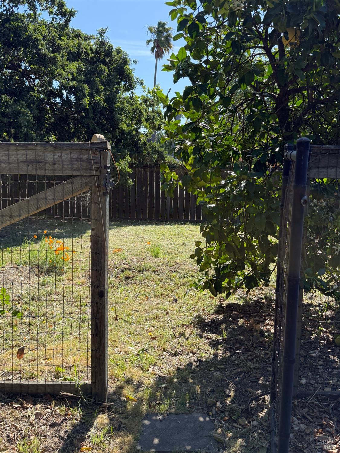 1927 Marsh Road Santa Rosa, CA 95403 - Photo 21 of 29 a view of a yard with wooden fence and plants