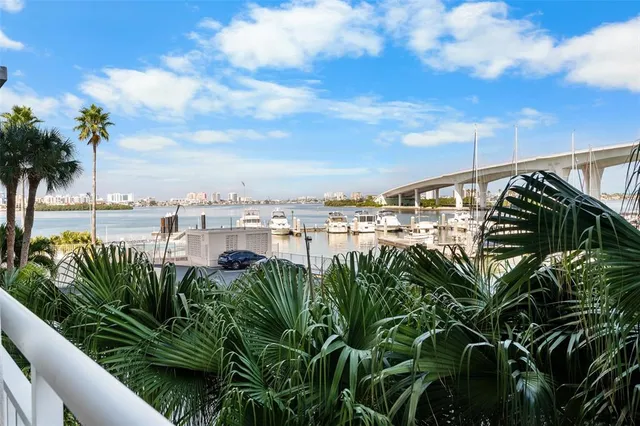 a view of a yard with plants and palm trees