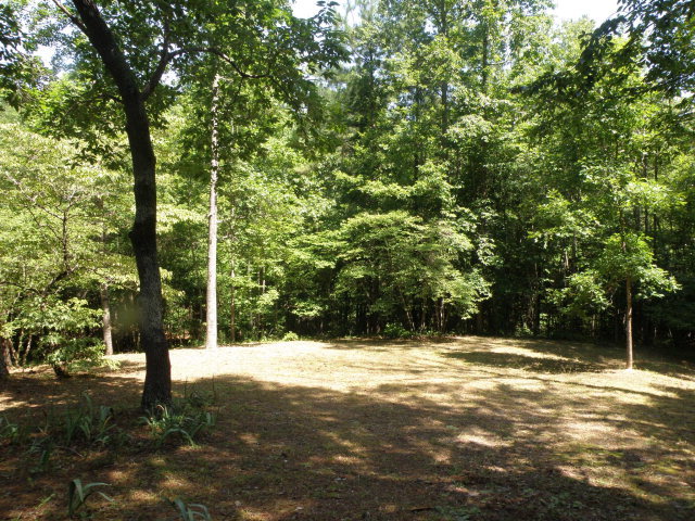 1872 Wood Valley Road Macon, GA 31211 - Photo 20 of 28 a view of outdoor space with trees