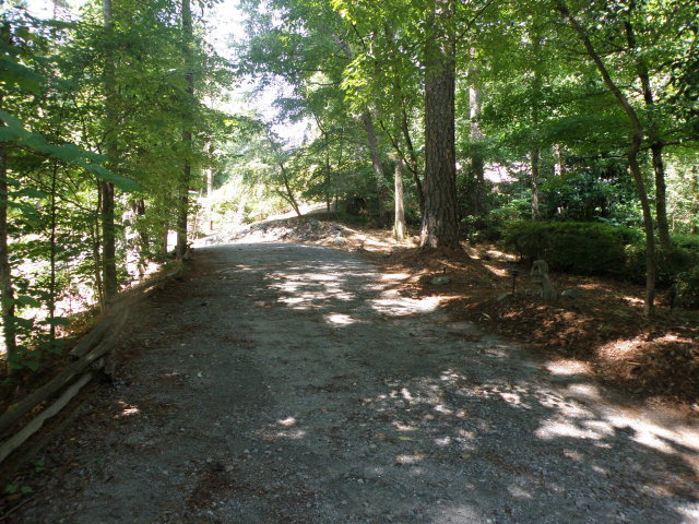 1872 Wood Valley Road Macon, GA 31211 - Photo 3 of 28 a view of forest