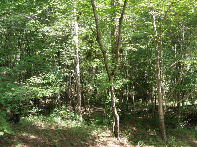 1872 Wood Valley Road Macon, GA 31211 - Photo 26 of 28